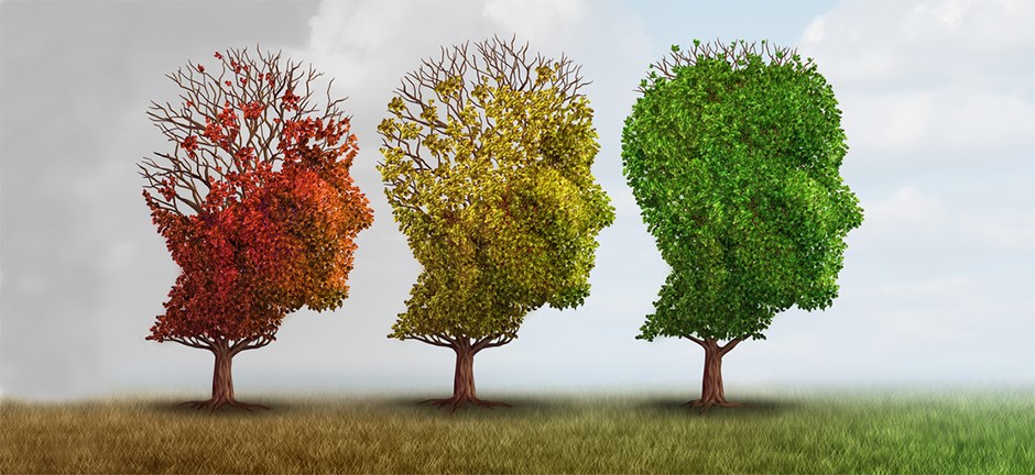 Düşünce mi Zemin mi 